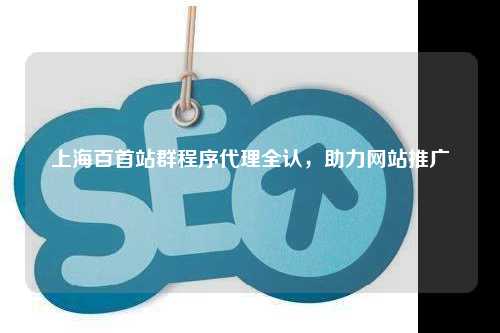 上海百首站群程序代理全认，助力网站推广